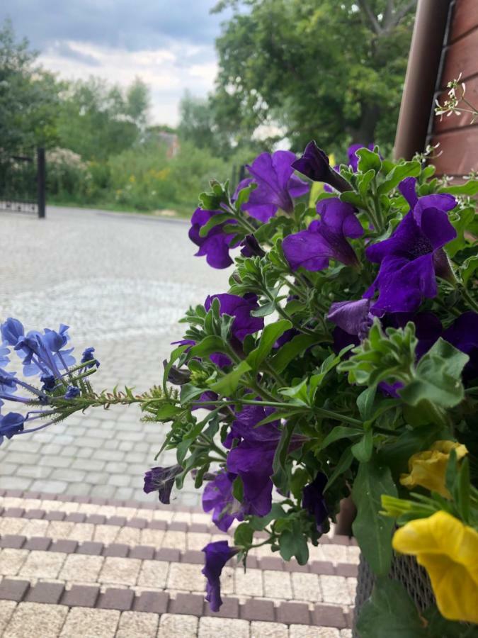Apartamenty Sandomierskie Gimo Sandomierz Exteriör bild